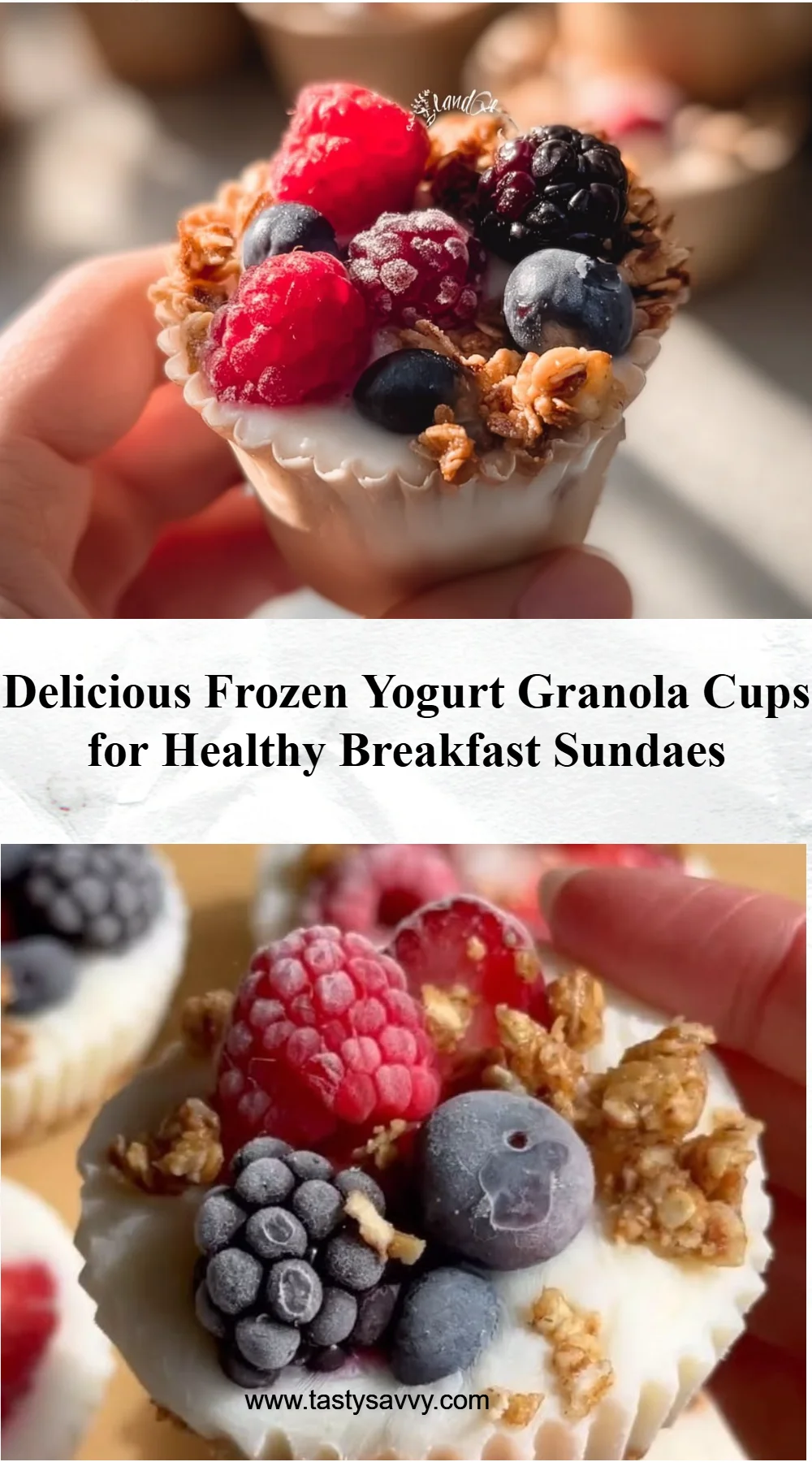 Frozen Yogurt Granola Cups frozen yogurt Frozen Yogurt Granola Cups