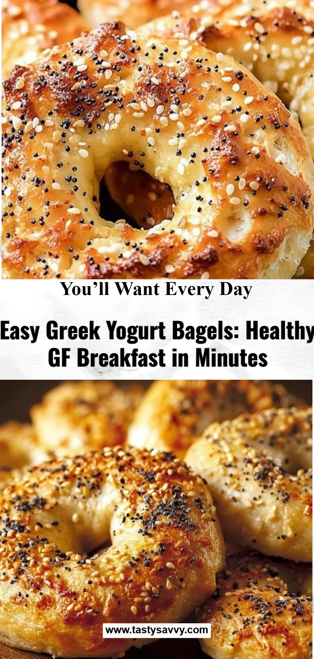 Greek Yogurt Bagels Greek yogurt bagels Greek Yogurt Bagels