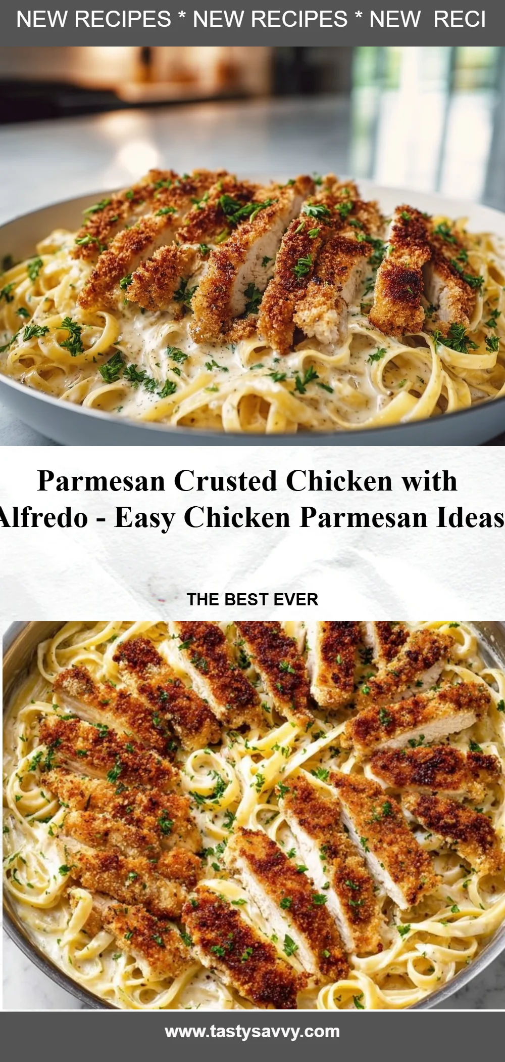 Parmesan Crusted Chicken with Alfredo