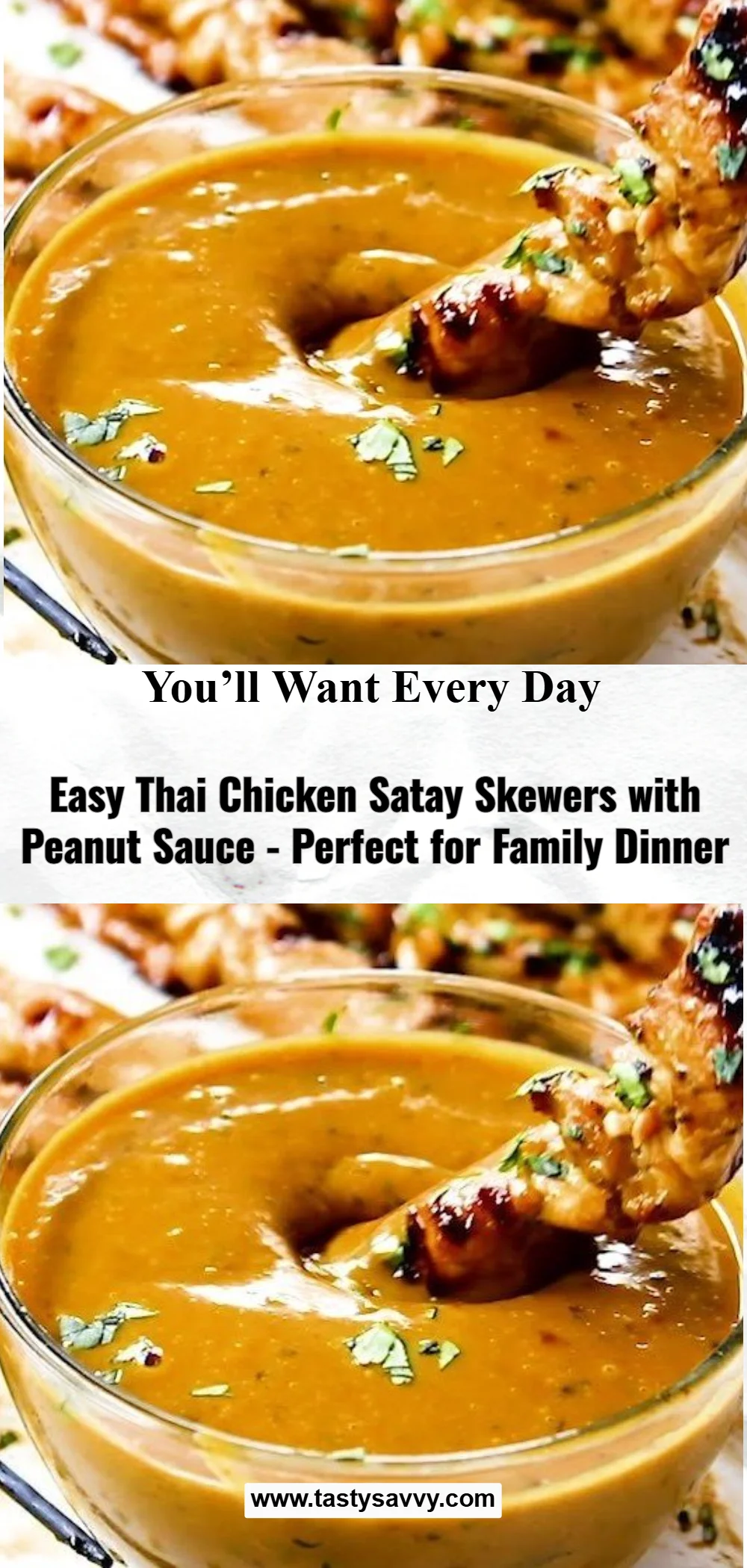 Easy Thai Chicken Satay with Peanut Sauce