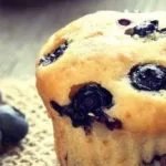 Low Carb Greek Yogurt Blueberry Muffins low carb greek yogurt blueberry muffins 2026 05 14 235132 1