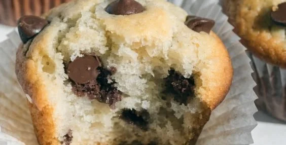 Protein Muffins Protein Muffins Protein Muffins