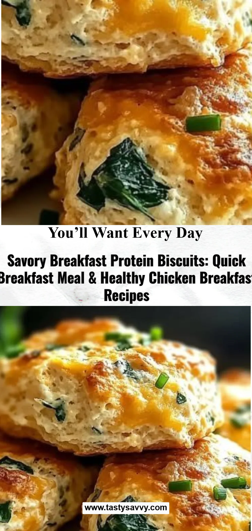 Savory Breakfast Protein Biscuits breakfast biscuits Savory Breakfast Protein Biscuits