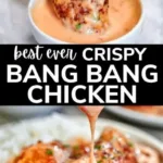 Bang Bang Chicken bang bang chicken 2026 06 08 233657 512x1024 1